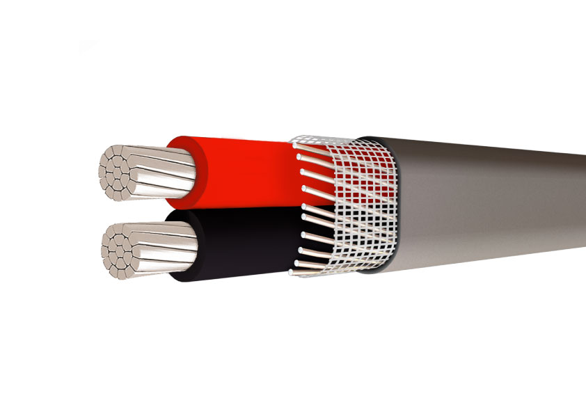 <strong>ANTIFRAUDE - SEU</strong>